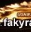 Studija „Ugnies ratas“