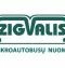 Zigvalis