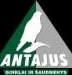 UAB „Antajus“