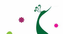 AERODREAM sodyba vestuvėms